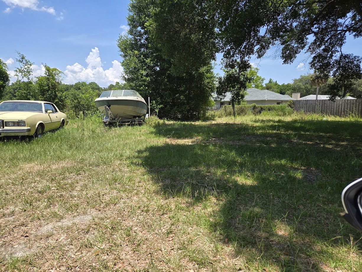 On the parcel looking toward the neighboring homes